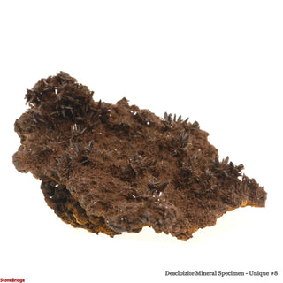 Descloizite Mineral Specimen U#8 - 3" from The Rock Space