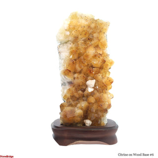 Citrine Cluster on Wood Base #6 - 10" from The Rock Space