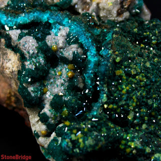 Dioptase Specimen on Matrix U#1 - 2 1/4" from The Rock Space