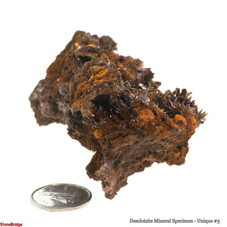 Descloizite Mineral Specimen U#3 - 3 3/4" from The Rock Space