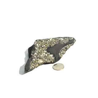 Pyrite on Basalt Crystal Specimen #1 - Up to 2 1/4" from The Rock Space