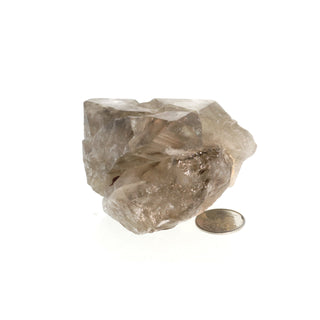 Smoky Quartz Elestial #3 - 2" to 3 1/2" from The Rock Space
