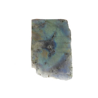 Labradorite Top Polished Slice #2 from The Rock Space