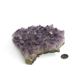 Amethyst Clusters #8 - 8" to 9" from The Rock Space
