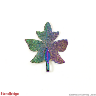 Electroplated Jewelry Leaves - Type #8 - Rainbow from The Rock Space