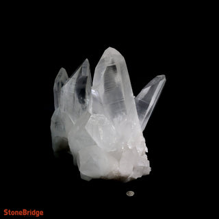 Lemurian Quartz Cluster U#1 - Super Clear - 35lb - 13" from The Rock Space