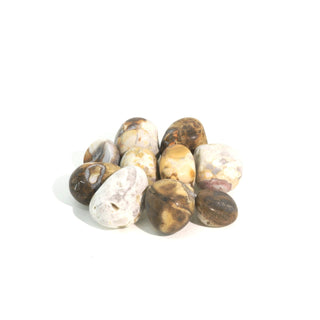 Orbicular Jasper Tumbled Stones - India from The Rock Space