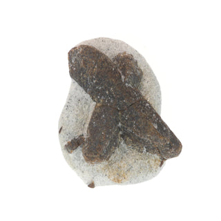 Staurolite On Matrix from The Rock Space
