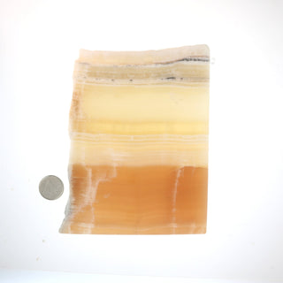 Calcite Honey Slices #5 from The Rock Space