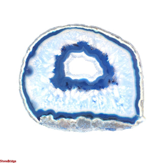 Agate Slices #6 - 5 1/2" to 6 1/4" from The Rock Space