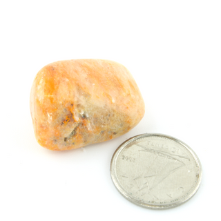 Bumble Bee Jasper Tumbled #1 from The Rock Space