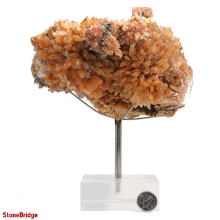 Creedite Specimen U#2 - 7" from The Rock Space