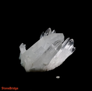 Lemurian Quartz Cluster U#2 - Super Clear - 19lbs 13" from The Rock Space