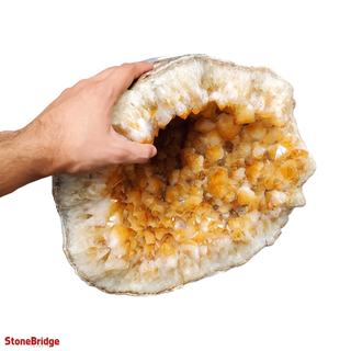 Citrine Geode U#38 from The Rock Space