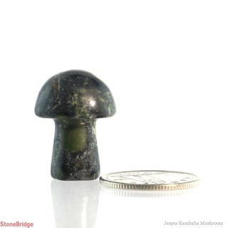 Kambaba Jasper Mushroom from The Rock Space
