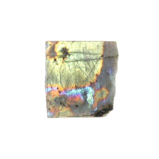 Labradorite Top Polished Slice #2 from The Rock Space