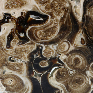 Calcite Chocolate Slice #4    from Stonebridge Imports