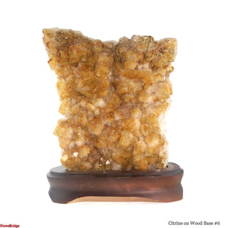 Citrine Cluster on Wood Base #6 - 10" from The Rock Space