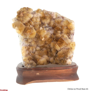 Citrine Cluster on Wood Base #6 - 10" from The Rock Space