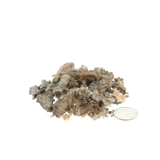 Fulgurite Petrified Lightning Chips - 20g Bag from The Rock Space