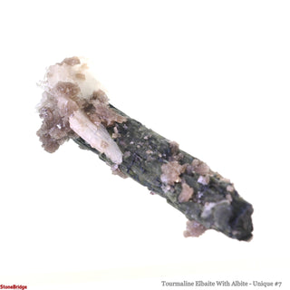 Tourmaline Elbaite With Albite U#7 from The Rock Space