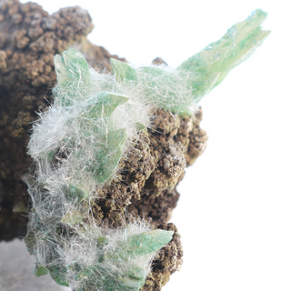 Kobyashevite Mineral Specimen U#07 from The Rock Space