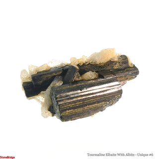 Tourmaline Elbaite With Albite U#6 from The Rock Space