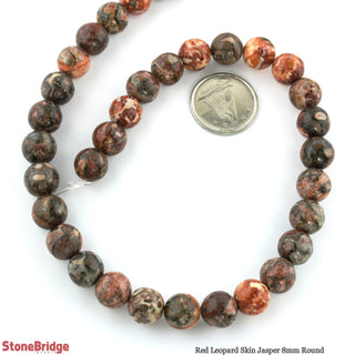 Red Leopardskin Jasper - Round Strand 15" - 8mm from The Rock Space