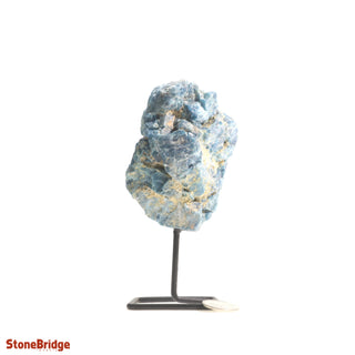 Apatite Specimen on Stand #3 from The Rock Space