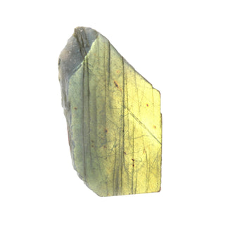 Labradorite Top Polished Slice #2 from The Rock Space