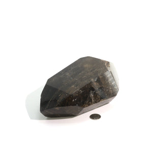 Smoky Quartz (dark) Double Terminated Point U#1 - 7" x 3 3/4" from The Rock Space