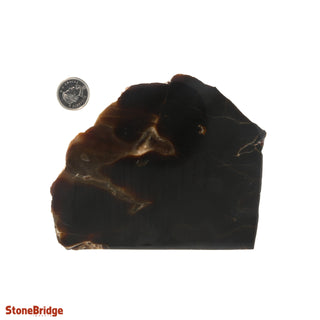 Calcite Chocolate Slice #4 from The Rock Space