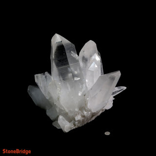 Lemurian Quartz Cluster U#1 - Super Clear - 35lb - 13" from The Rock Space