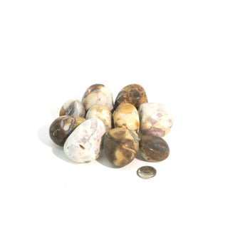 Orbicular Jasper Tumbled Stones - India from The Rock Space