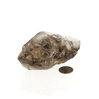 Smoky Quartz Elestial #4 - 2 1/4" to 4" from The Rock Space