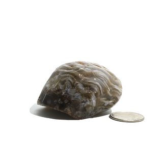 Enhydro Agate Geodes - 2 1/2" from The Rock Space