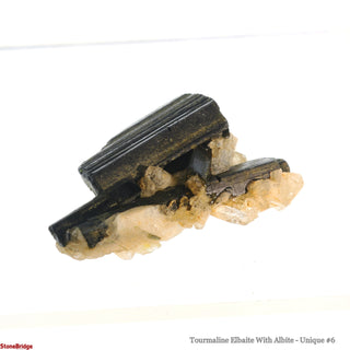 Tourmaline Elbaite With Albite U#6 from The Rock Space