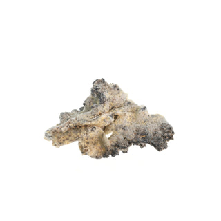 Fulgurite Petrified Lightning #4 - 2" to 3" from The Rock Space