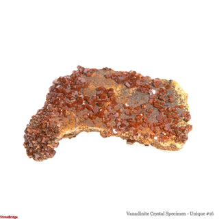 Vanadinite Specimen U#16 - 3 3/4" from The Rock Space