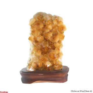 Citrine Cluster on Wood Base #6 - 10" from The Rock Space
