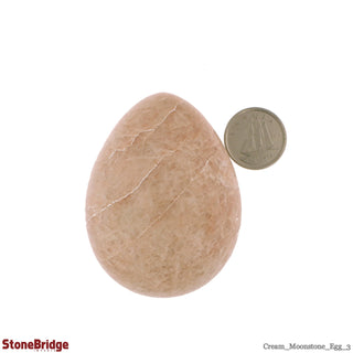 Cream Moonstone Egg #3 - 2" to 2 1/4" from The Rock Space