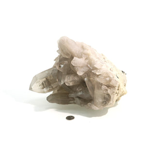 Smoky Quartz Cluster U#4 from The Rock Space
