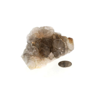 Smoky Quartz Elestial #3 - 2" to 3 1/2" from The Rock Space
