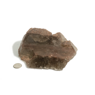 Smoky Quartz Elestial #6 - 4 1/2 to 6" from The Rock Space