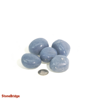 Angelite Tumbled Stones from The Rock Space