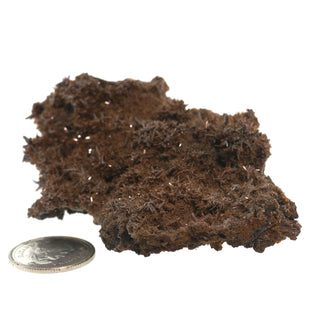 Descloizite Mineral Specimen U#11 - 3 1/2" from The Rock Space