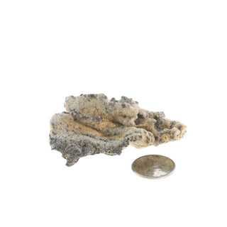 Fulgurite Petrified Lightning #4 - 2" to 3" from The Rock Space