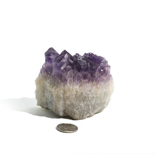 Amethyst Clusters #2 - 2" to 4" from The Rock Space