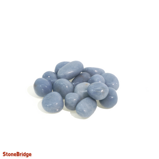 Angelite Tumbled Stones from The Rock Space
