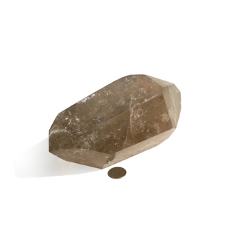 Smoky Quartz Double Terminated U#2 - 6 1/4"L from The Rock Space